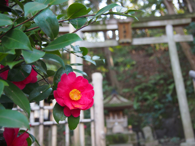 三溪園天神