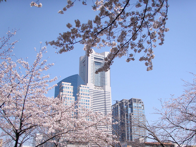 掃部山公園