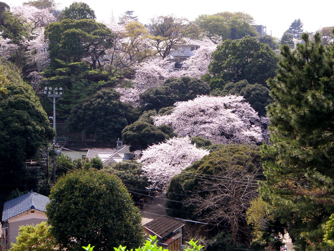 元町公園