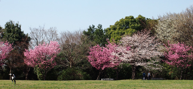 山頂公園2