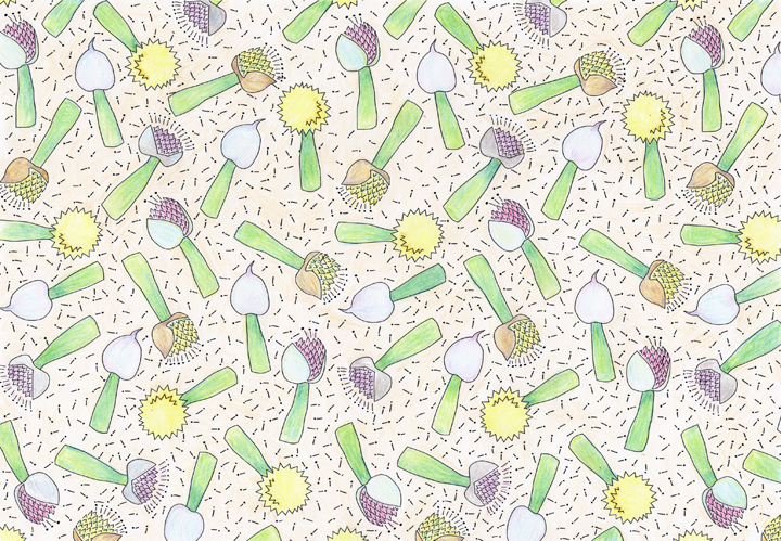 ねぎ坊主塗り絵